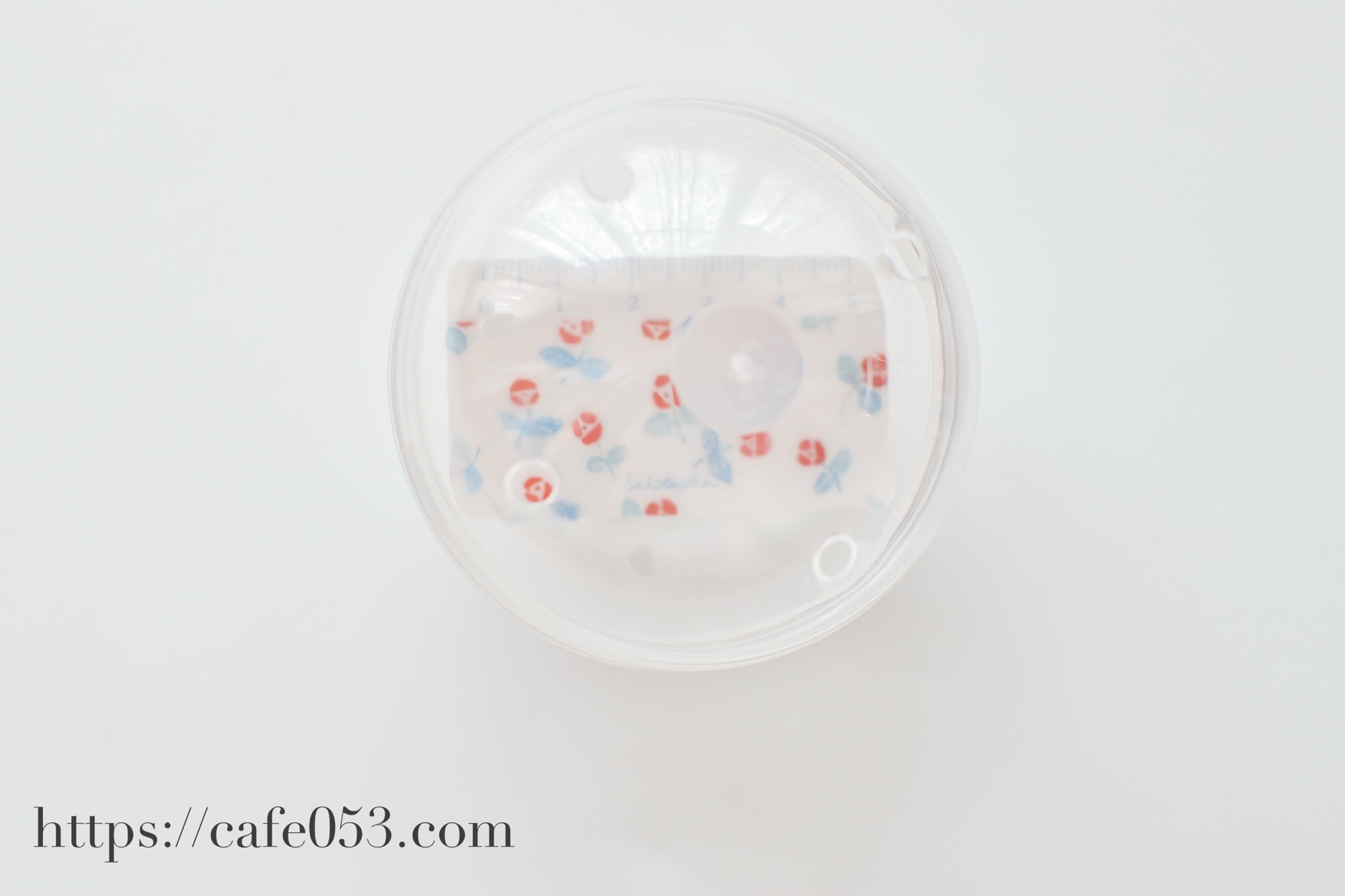 文具女子博 pop-up in 新潟2026 購入品